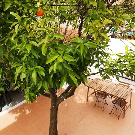 Casa Da Laranja By Quantique 度假居